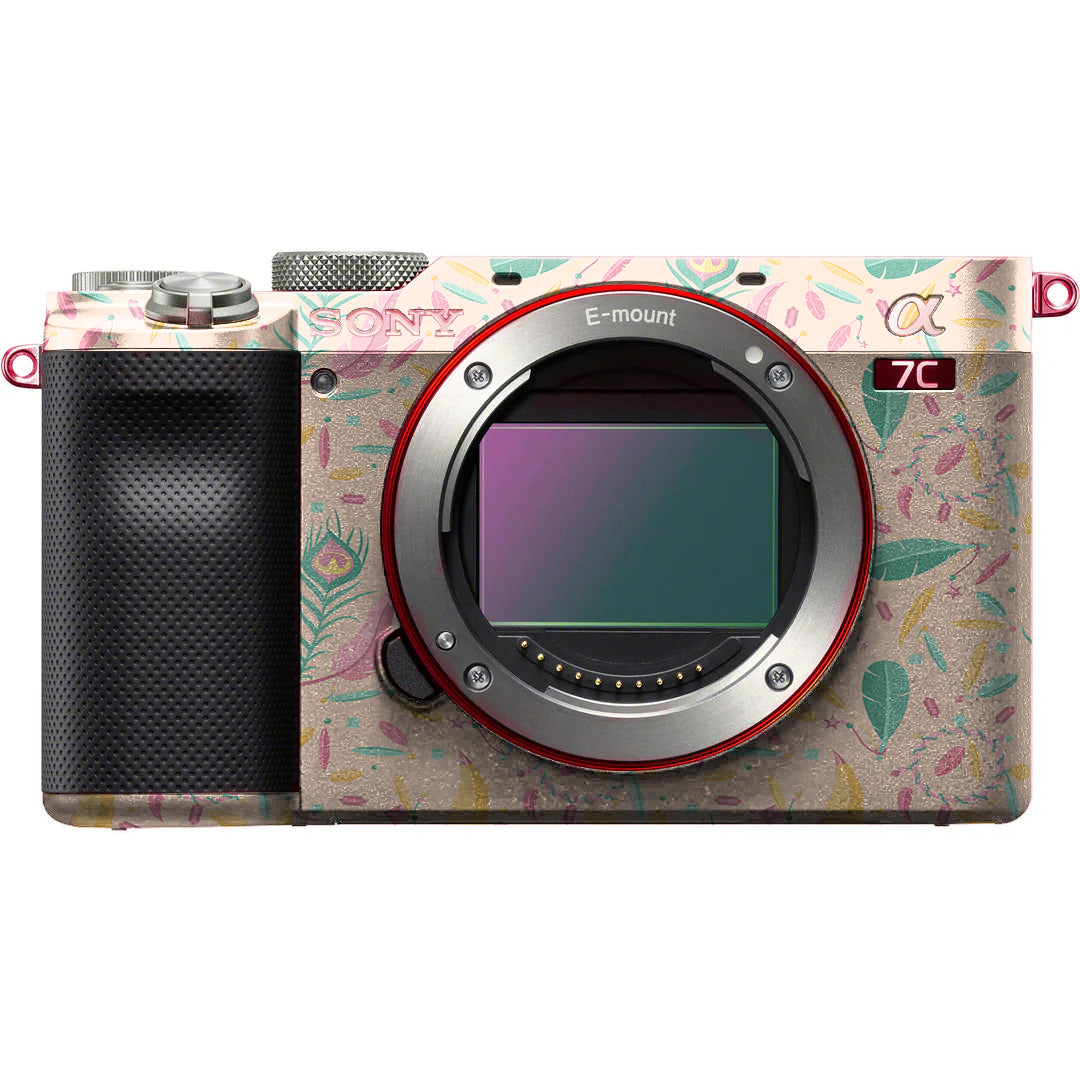 Sony A7C Skins