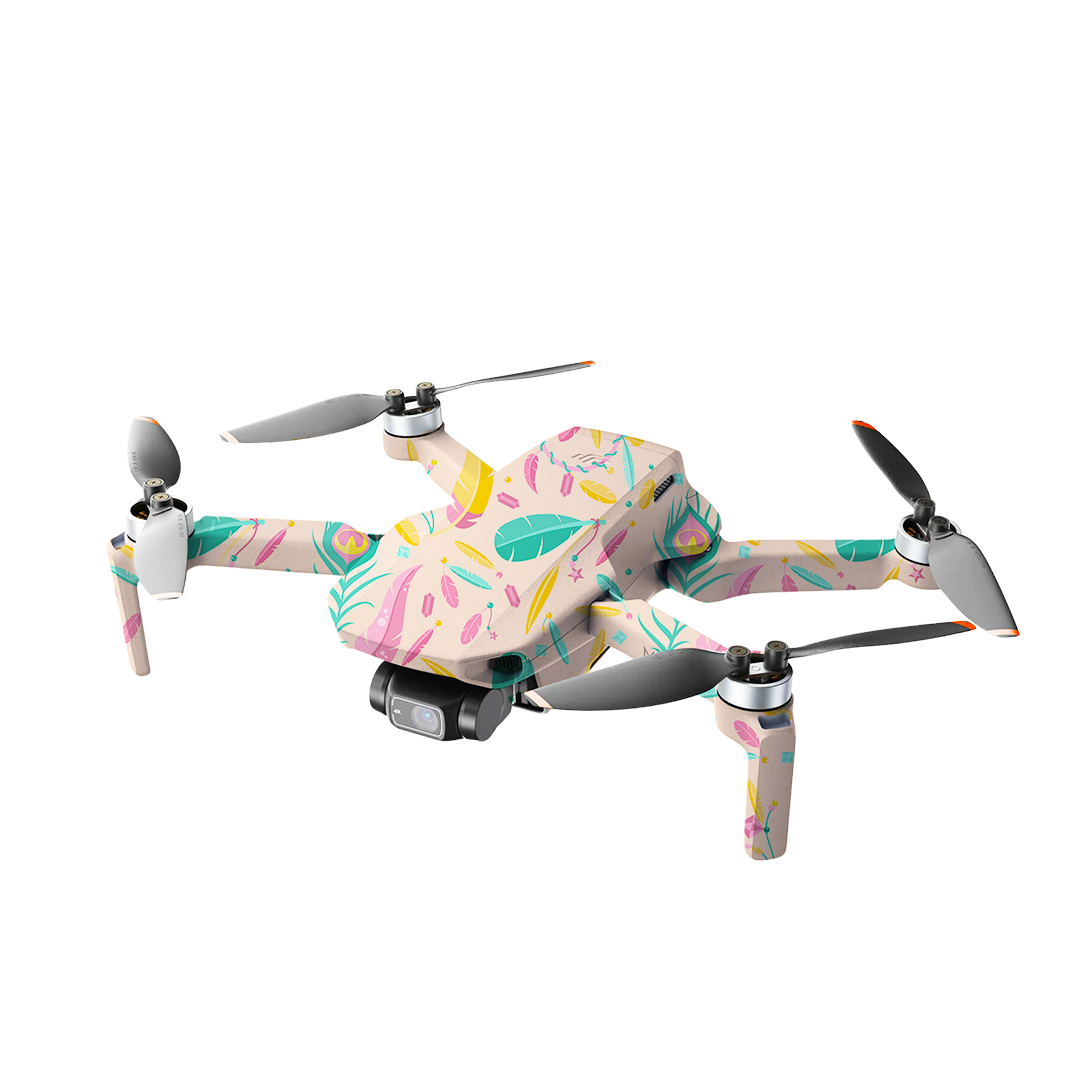 Mavic Mini 2 Skins